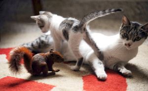 ����� ����� ����� ��� ��������� 